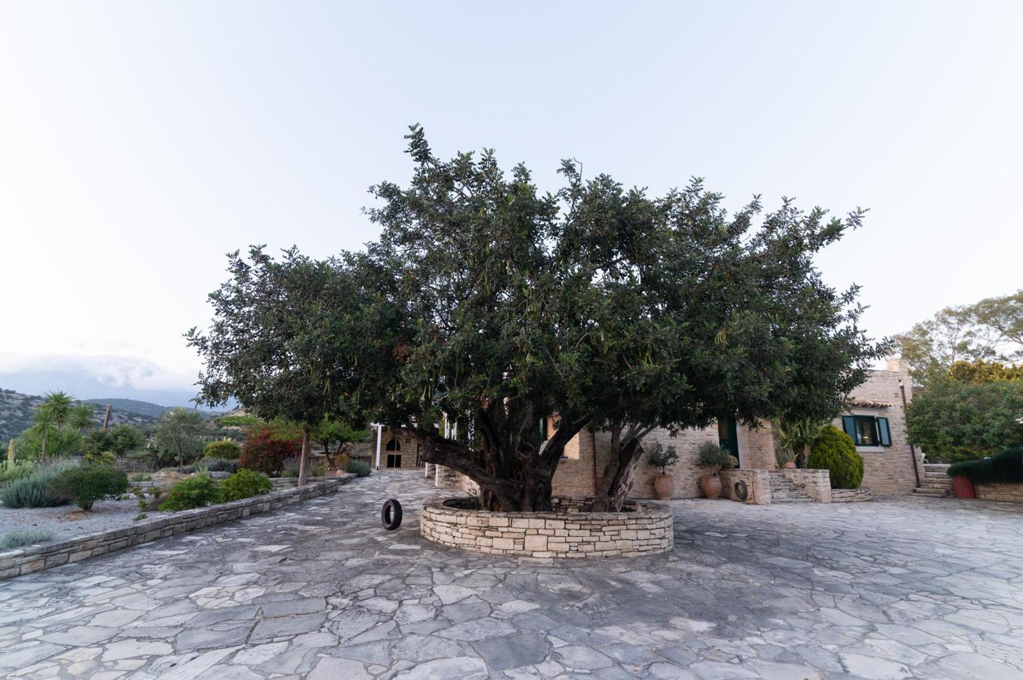 Carob Villa Moirai Luaran gambar