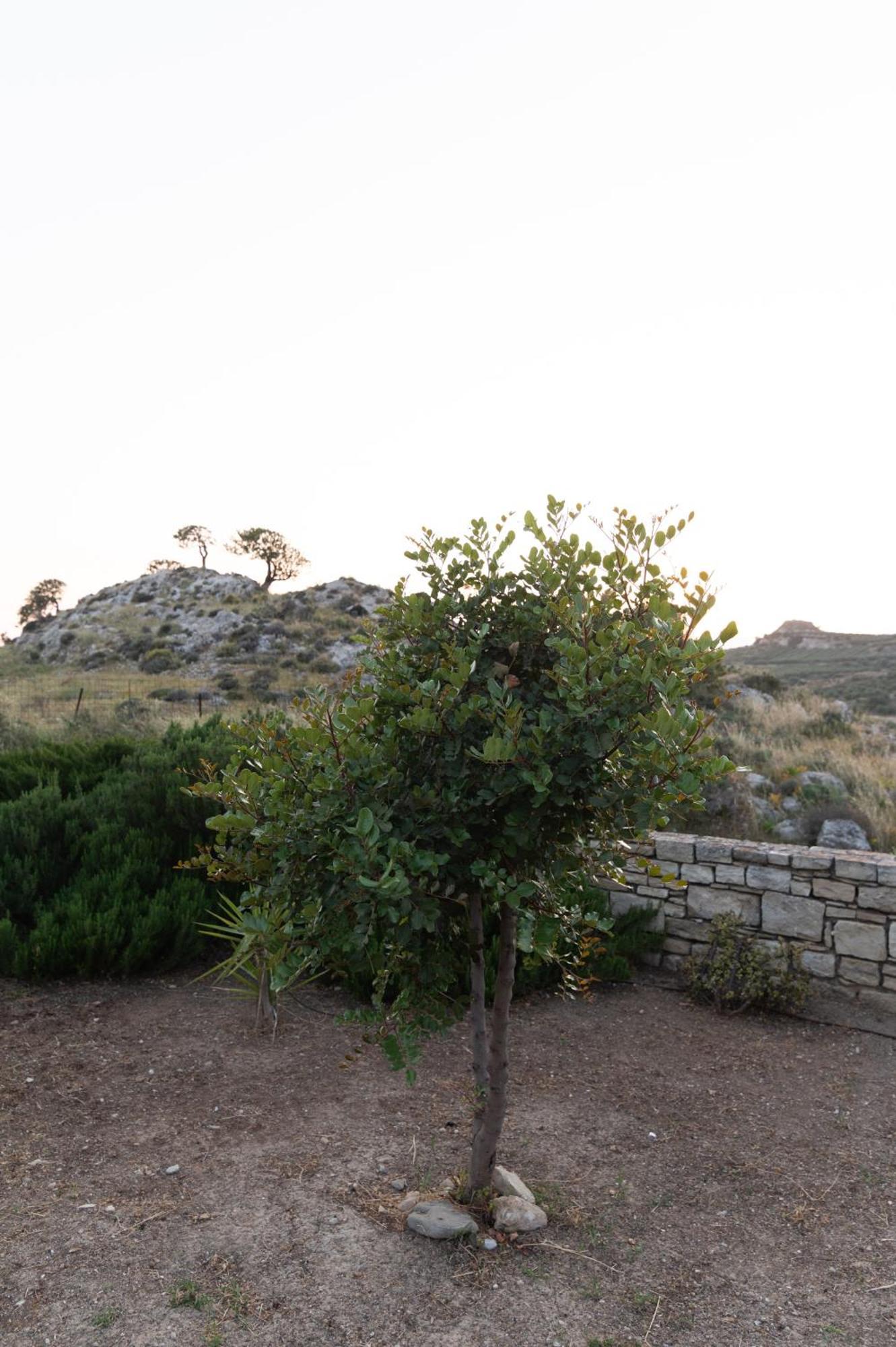 Carob Villa Moirai Luaran gambar